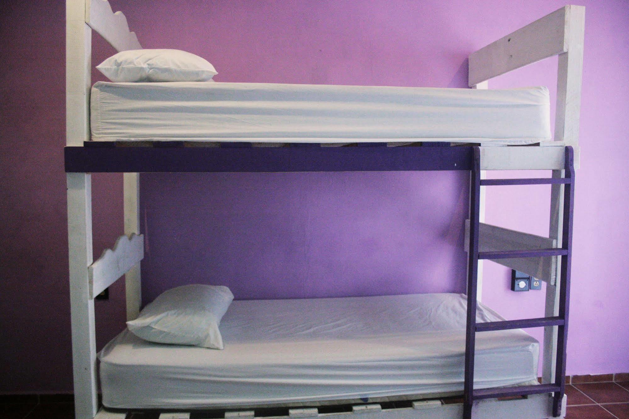 Albergue The Yak *